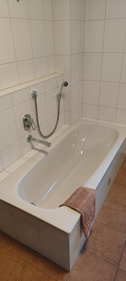 Ferienwohnung Zwischen Rhein Und Schwarzwald Bischweier Zewnętrze zdjęcie
