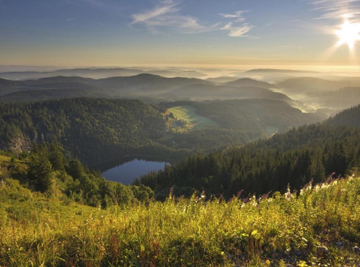 Ferienwohnung Zwischen Rhein Und Schwarzwald Bischweier Zewnętrze zdjęcie